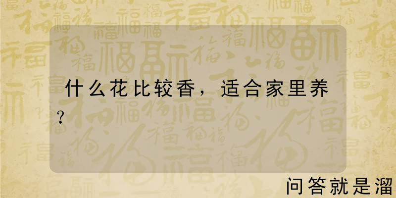 什么花比较香，适合家里养？