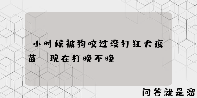 小时候被狗咬过没打狂犬疫苗，现在打晚不晚？