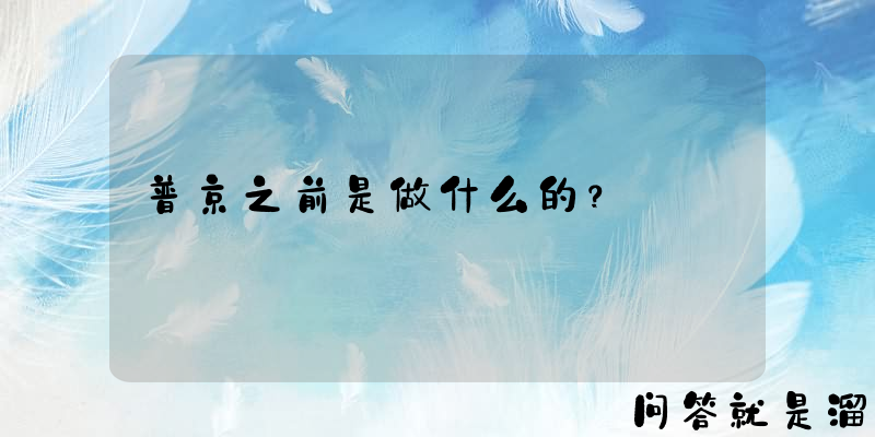 普京之前是做什么的？