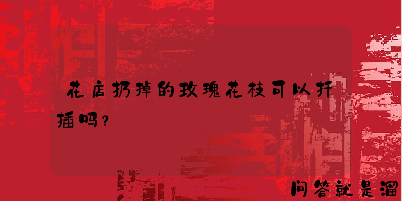 花店扔掉的玫瑰花枝可以扦插吗？