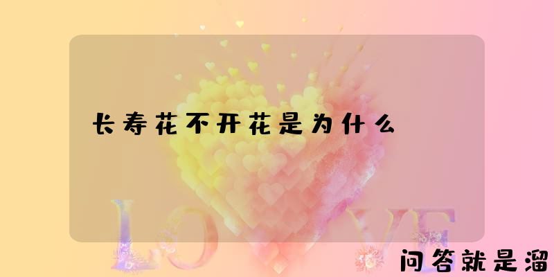 长寿花不开花是为什么？